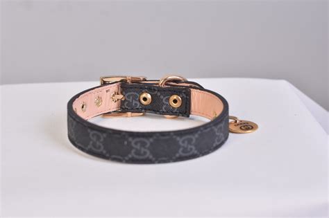 collare per cane gucci|Il collare per cani by Gucci .